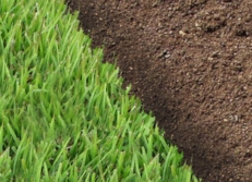 Landscaping Lakeland FL