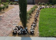 Landscaping Lakeland FL